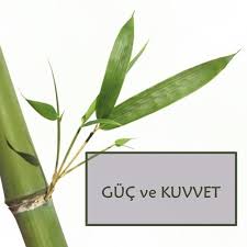 Gercek Guc Fiziksel Olmaktan Cok Uzaktir Kimi Zaman Bukulemeyen Niyette Saptirilamayan Irade De Kimi Zamansa Bir Samanin Kesk Gercekler Bulutlar Kararlilik