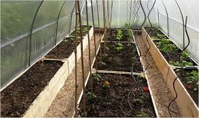 Quelques Bonnes Raisons De Cultiver Sous Serre Jardinage En Serre Carre Potager Potager