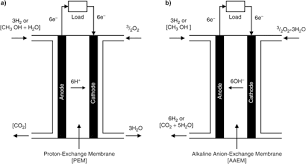 They are simple, relatively inexpensive fuel cells. A Review On Direct Methanol Fuel Cells In The Perspective Of Energy And Sustainability Mrs Energy Sustainability Cambridge Core
