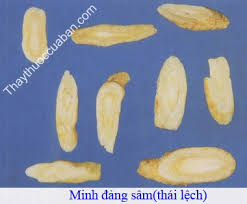 Đẳng sâm, tác dụng chữa bệnh của Đẳng sâm