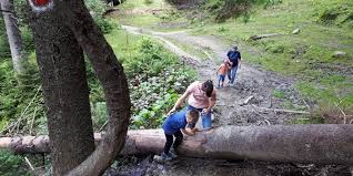 10 locuri de vacanta in romania! Vacanta Cu Familia In Romania Sfatul Miculrinocer Ro