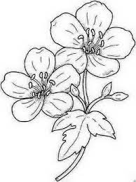 bonito flower drawing sketches leather tooling patterns coloriage kendrick lamar s