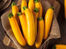 We did not find results for: Golden Zucchini Information Learn About Growing Golden Zucchini Plants