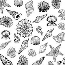Shell Images 48 821 Vectors Photos