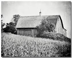 This piece showcases an abstract image in contrasting black and white tones. Amazon Com Black And White Barn Landscape Not Framed Rustic Barn Picture Farmhouse Decor 8x10 11x14 Or 16x20 Fbml Handmade