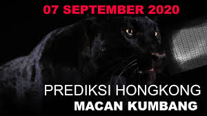 Ayam selamat kepada para pemenang salam jackpot! Prediksi Hk 07 September 2020 Angka Paten Togel Youtube