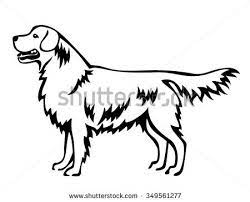 golden retriever dog standing in side view line art isolated drawing coloriage lettres