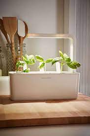 Click And Grow A Miniature Herb Garden For A Kitchen Countertop Gardenista Vertical Herb Garden Herb Garden Herbs Indoors