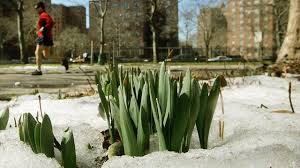 .new york city (nyc) in 2020 ✈ best season & month to travel, based on weather, things to do best time of year to visit new york city (nyc). March Weather 5 Reasons It Frustrates You The Weather Channel Articles From The Weather Channel Weather Com