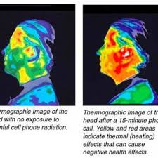 We did not find results for: How To Protect Yourself From Harmful Mobile Cell Phone Rf Emf Radiation Turbofuture