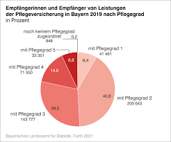 Der bewohner hat verschiedene probleme die aufgenommen und beachtet werden sollen. Pflegegeldberechnung Beispiele Pflegeleistungen Anspruch Gelder Stand 2021 Pflegegeld Kann Bezogen Werden Wenn Folgende Voraussetzungen Gegeben Sind
