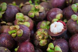 Maybe you would like to learn more about one of these? Manggis Dan Buah Buahan Indonesia Lainnya Akan Di Ekspor Ke Argentina