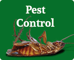 So no more looking miserable because of not getting now consider a pest control service. Bj S Consumer S Choice Pest Control Service With A Difference