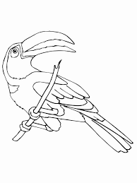 Enter youe email address to recevie coloring pages in your email daily! Toucan Perched On Tree Branch Coloring Page Coloring Sun