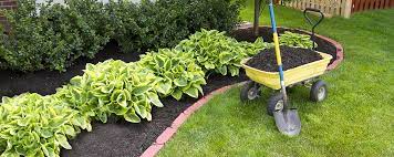 Maybe you would like to learn more about one of these? Preparing Your Garden Beds For Mulch