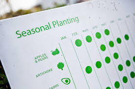 Seasonal Planting Chart The Ecology Center