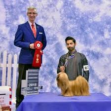 Get design inspiration for painting projects. Read Your Standard And Dream Bis Line