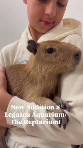 We are loving our Nathan & Gigi time ❤️