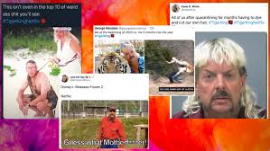 If you haven't seen tiger king, close this post, turn on netflix, watch all seven episodes and then come back. The Grrrreatest Tiger King Memes Entertainment Heat