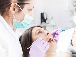 We did not find results for: Dental Health Finding A Dentist Without Insurance Times Of India
