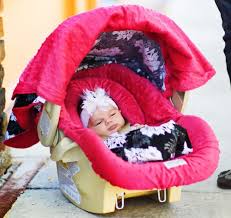 The Whole Caboodle Carseat Canopy Baby Car Seat Cover 5 Pc Set New Lovely Baby Car Seats Baby Girl Carseat Covers Baby Canopy