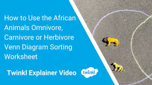 Pies blu kolorowanki / monster high doll 13 wishes. African Animals Omnivor Carnivore Or Herbivore Venn Diagram Sorting Worksheet