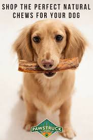 Our Mission Is To Provide Dogs With Healthy Treats They Deserve Shop Bully Sticks Dog Bones Antler Dog Chews More From The Can Dogs Eat Dogs Healthy Dogs
