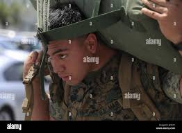 A rifleman with lima company hi-res stock photography and images