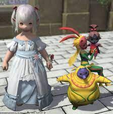FF14 ゾットの塔でマメット・メーガスをもらいましたーヾ(〃^∇^)ﾉ レベル８１ : ありさ日記 日常