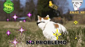But which steps are necessary to embed such an animation on your website? Romy Gif Find Share On Giphy Cat Gif Cool Gifs Giphy