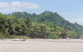 There are a variety of homes for sale in the area of santa teresa from mal pais, santa teresa, playa hermosa, or the hillside above the beach. Santa Teresa Tipps Chilliges Surfer Paradies In Costa Rica