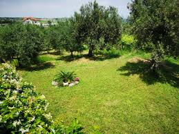 Maybe you would like to learn more about one of these? Bed And Breakfast Ortona