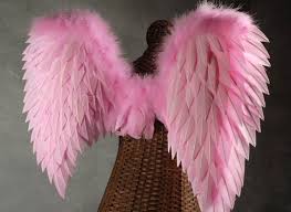 Pink Angel Wings 32 X 31 1 2 Feather Angel Wings Pink Pink Feathers