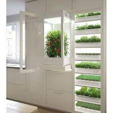Mika Daniel Turrell On Twitter Home Indoor Garden Indoor