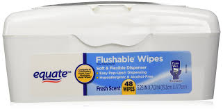 Cottonelle Fresh Care On-The-Go Flushable Wipes, 1 Pack, 14 Wipes Per Pack  | Meijer