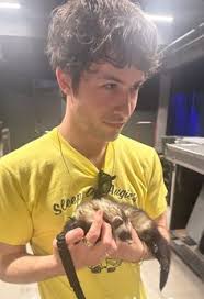 870 Wallows🥹 ideas in 2025