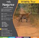 My Mera India - Nagzira Wildlife Tour (Green Oasis of Vidarbha ...
