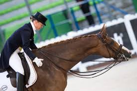 Feb 12, 2020 · but is the experience really any different for an olympian? Bella S Back Bella Rose Und Isabell Werth Gewinnen Beim Comeback In Mannheim
