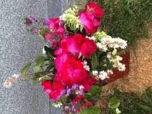 Obituary information for Joyce Lee Bivens