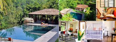 'kekuna' is a famed local medicinal plant in sri lanka. Villas In Sri Lanka Interior Villas In Sri Lanka Villas In Galle