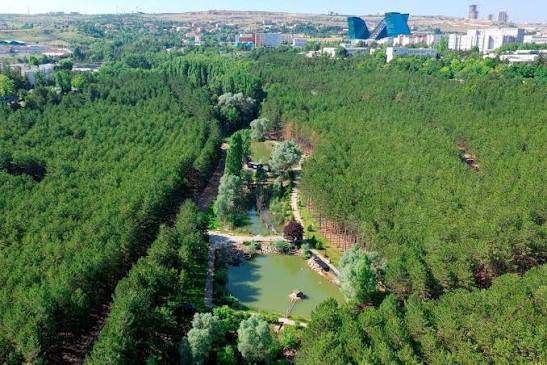 Hacettepe Üniversitesi Sürdürülebilir Yerleşkeler Koordinatörlüğü -  Biyoçeşitlilik