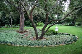 You can even grow trees in this bed as it provides. 15 Ideas For Landscaping Around Trees
