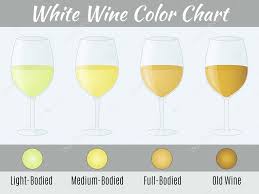 Wine Color Chart Hand Drawn Wine Glasses Stock Vector