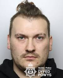 Man Jailed for 12 Years for Rape and Sexual Abuse of Children A  Carmarthenshire man has been sentenced to 12 years in prison for raping and  sexually abusing two children, following their