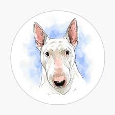 Maybe you would like to learn more about one of these? English Bull Terrier Cute Gifts Merchandise Redbubble