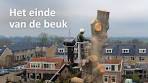 Het einde van de beuk - YouTube