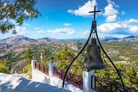 Image result for Thamnosma rhodesica