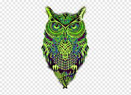 Maybe you would like to learn more about one of these? Museum Seni Gambar Burung Hantu Sketsa Burung Hantu Lukisan Cat Air Pensil Png Pngegg