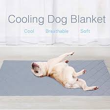 The cooling mat is made of silk material which absorbs your. Buy Decdeal Doglemi Pet Dog Summer Ice Cooling Breathable Mat Pet Cooler Ice Pad Dog Cooling Blanket Dog Cool Bed Features Price Reviews Online In India Justdial