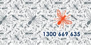 We are a licensed and fully insured local pest control company who strives to create an amazing customer experience no matter how big or small the job. Paramount Pest Termite Control é¢†è‹±